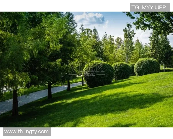 邻瑞广场足球公园：打造城市绿地与足球文化的完美结合场所